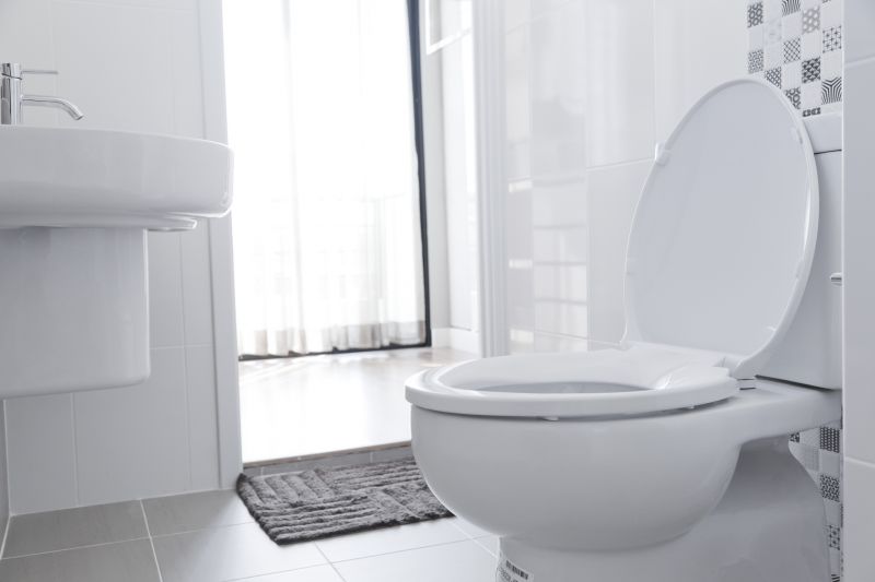Cost of Toilet Installation — Cost of Toilet Installation